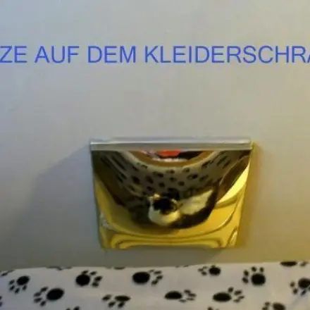 Aufenthaltsort der Katze ermitteln & Kleidungsstücke leicht finden