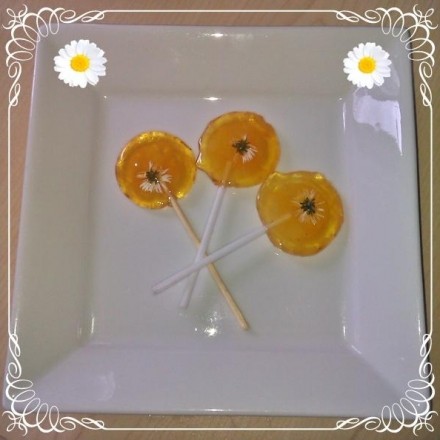 Orangen-Lutscher mit Gänseblümchen selbstgemacht