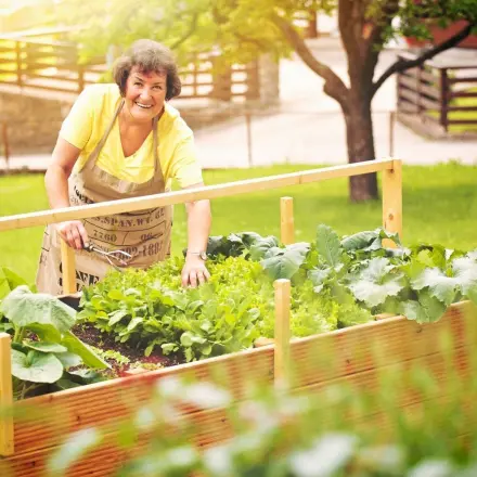 Hochbeet für Gemüse - viele Vorteile