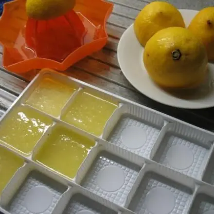 Zitronensaft einfrieren