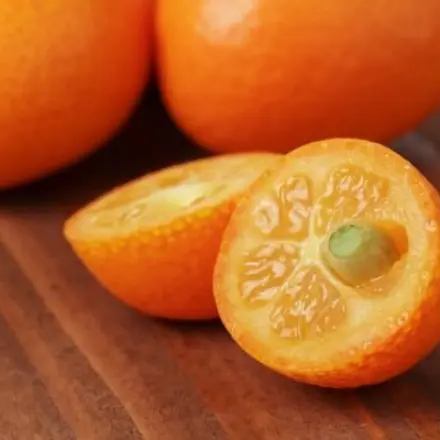 Kumquats (Zwergorangen) - exotische Früchte