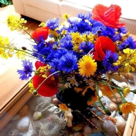 Augen offen halten um das Schöne zu sehen