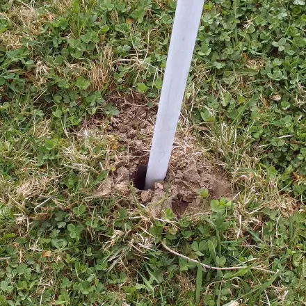 Wühlmäuse vertreiben
