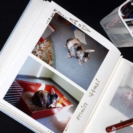 Idee für ein Fotoalbum