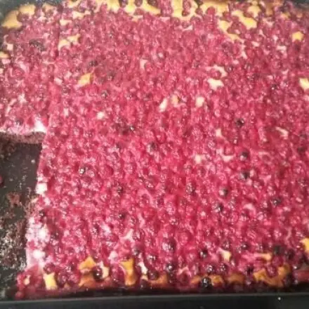 Johannisbeerkuchen mit Schmand-Puddingcreme