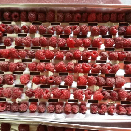 Himbeeren einfrieren