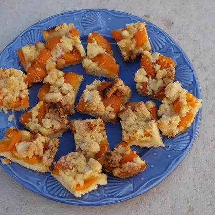 Aprikosenkuchen - Aprikosenhappen
