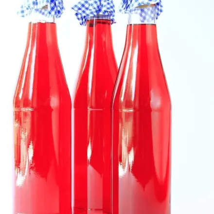 Fruchtwein selber machen (Erdbeerwein)