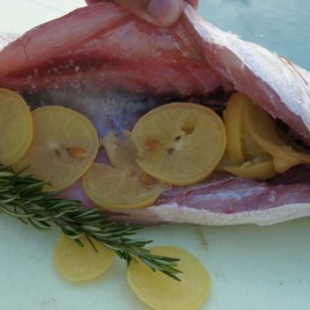 Fisch mit eingelegten Zitronen gefüllt