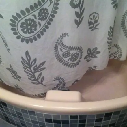 Schimmel vom Duschvorhang entfernen