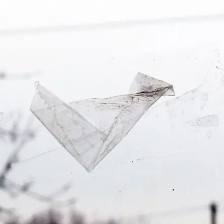 Tesafilm von Glasscheiben entfernen