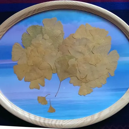 Collage aus Ginkgoblättern