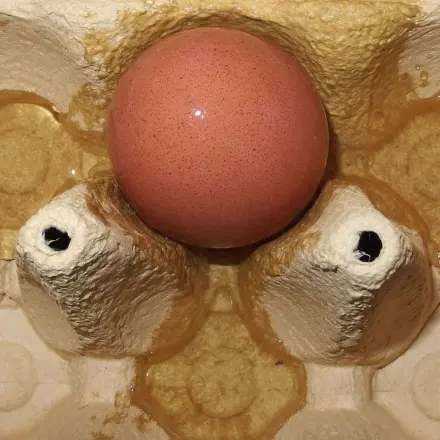 Festklebendes Ei aus Karton lösen