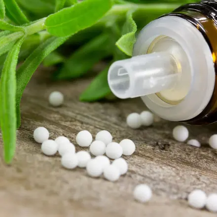Homöopathisches Mittel gegen Nacktschnecken