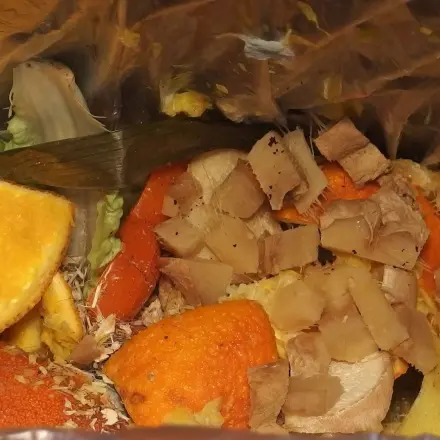 Bio- und Restmüll entsorgen