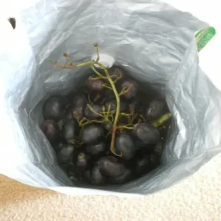 Tüten von ganzen Kaffeebohnen weiterverwenden