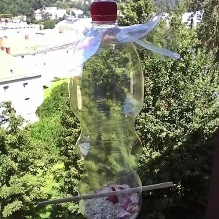 Vogelfutterplatz aus PET Flasche herstellen