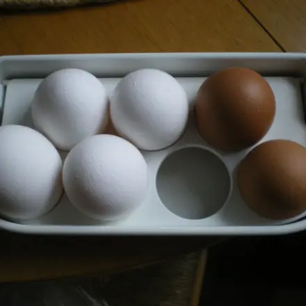 Eier kaufen: Alte und neue Eier unterscheiden