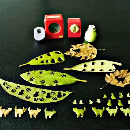 Mit Herbstlaub basteln