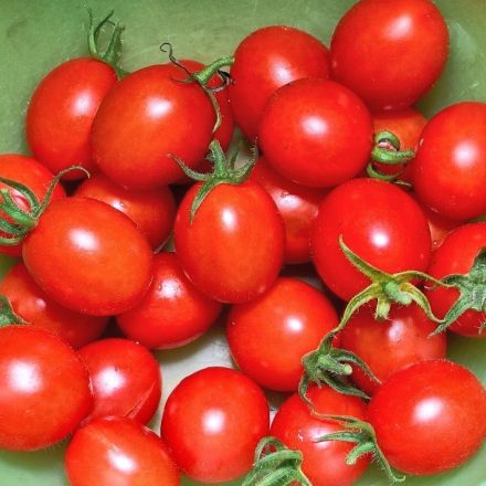 Schnelle Tomatensoße auf Vorrat kochen