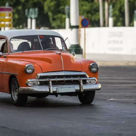 Vogelkot auf Autolack eingebrannt