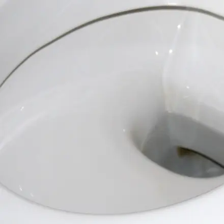 Kalkablagerungen in der Toilette