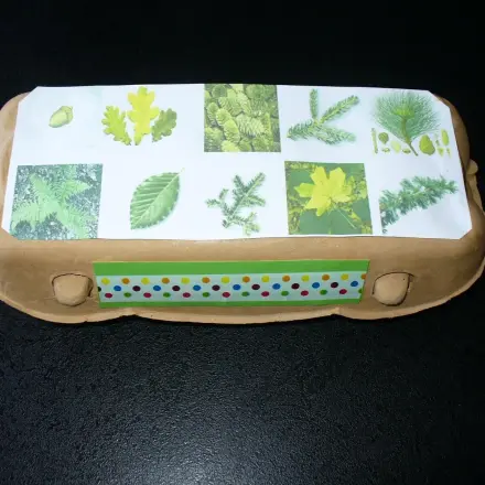 Kinder lernen spielerisch die Natur kennen