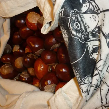 Wäsche waschen mit Kastanien