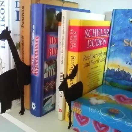 Bücherregal dekorieren