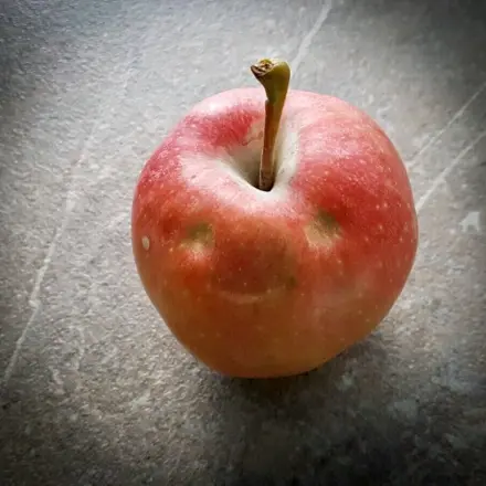 Effektiv und langfristig abnehmen - Präventionskurse nutzen