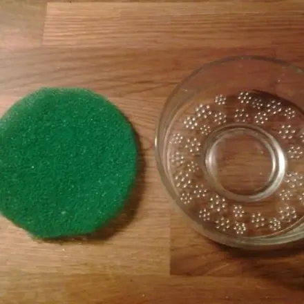 Chia-Samen keimen lassen