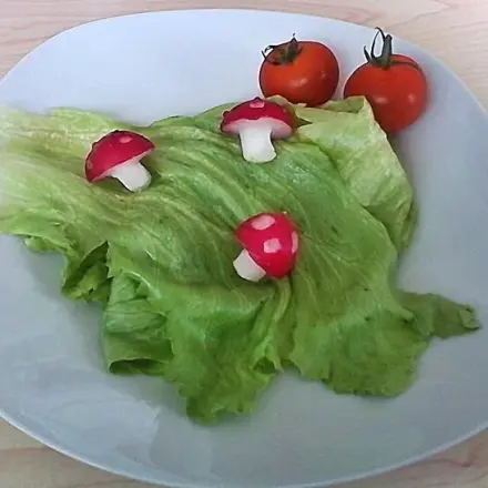 Radieschen Fliegenpilze