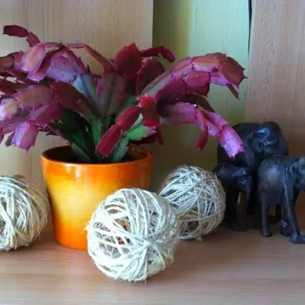 Dekokugeln herstellen