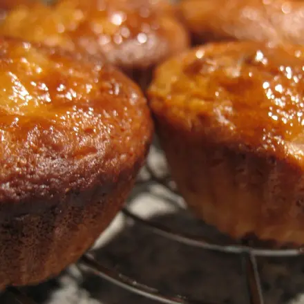 Quitten-Muffins