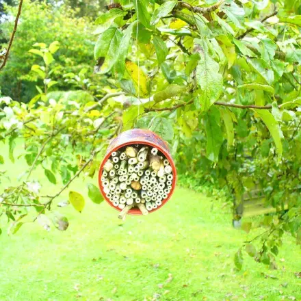 Wildbienen- und Insektenhotel selber bauen