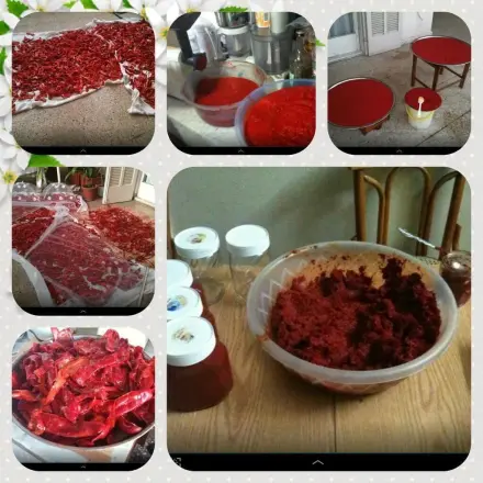 Chilipaste selber machen