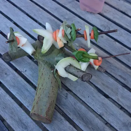 Futterbaum für Nager