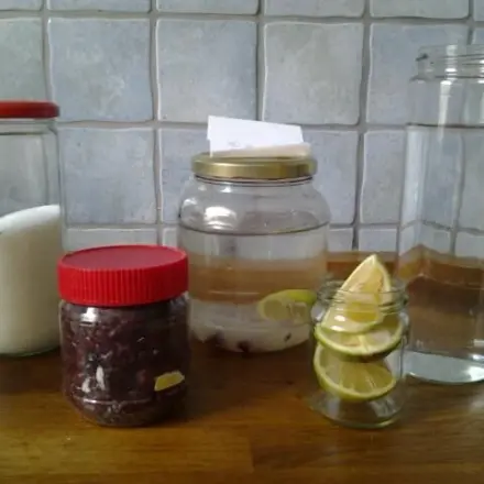 Limonade mit Wasserkefir selber machen