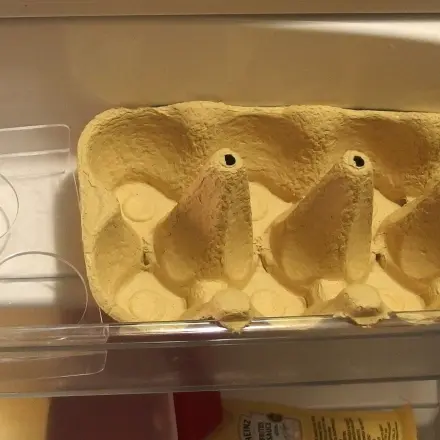 Kühlschrank-Eierbehälter erweitern