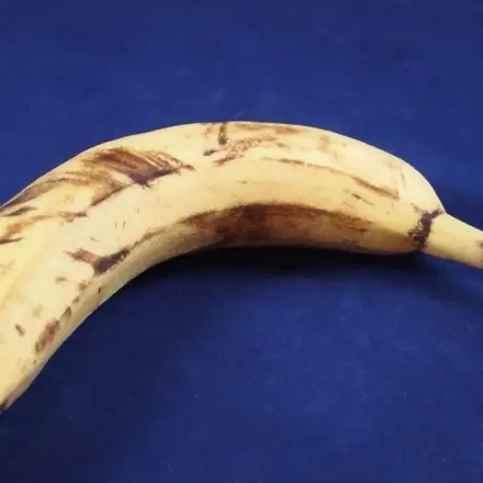 Sehr reife Bananen für Hundekekse