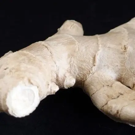 Herpes, Rasurbrand und Akne? = Ingwer