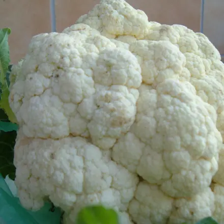 Gebackener Blumenkohl