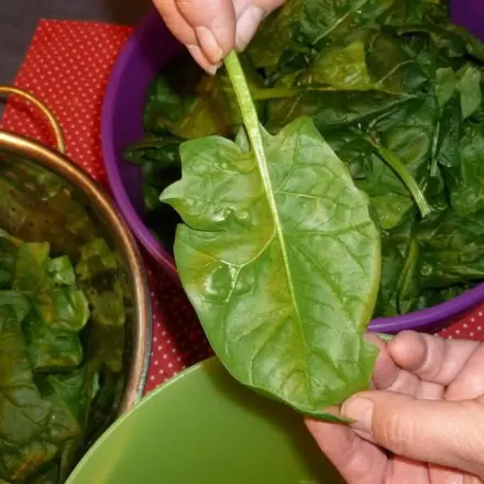 Blattspinat vorbereiten - Stiel entfernen mit Trick
