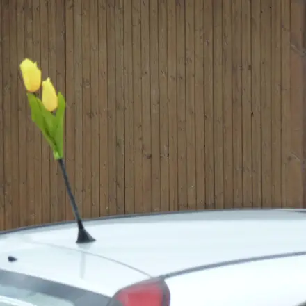 Autosuche erleichtern