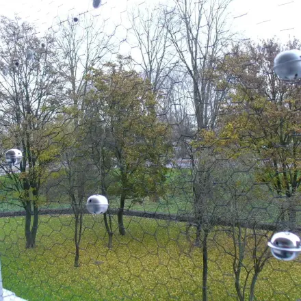 Balkon katzensicher machen