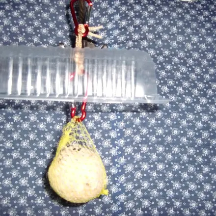 Meisenknödel vor Regen schützen