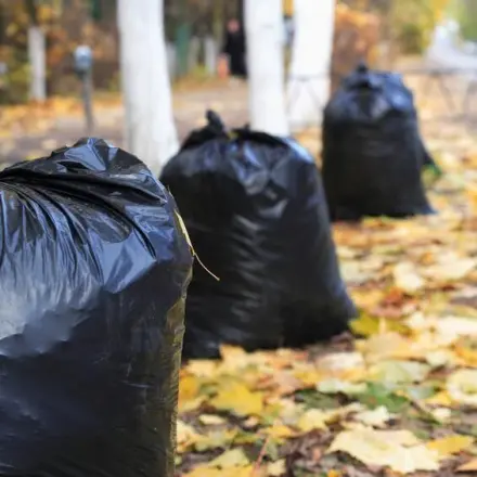 Essig im Müllsack gegen Tiere