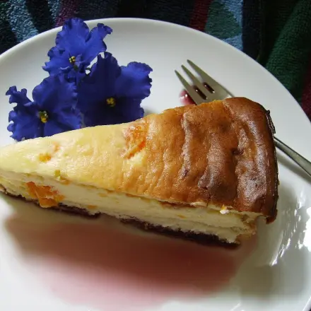 Quark-Schmandtorte mit Mandarinen