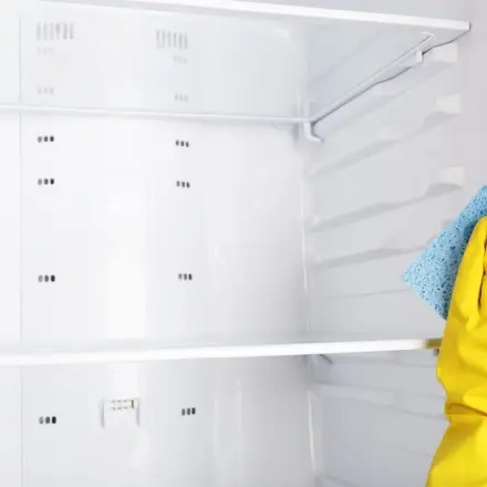 Braune Flecken an Kühlschrankwand unter Thermostatfühler