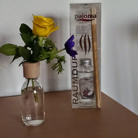 Glasflaschen Duftzerstäuber als Blumenvase nutzen